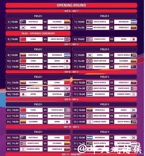 世界杯下注平台：专业赛事预测与投注技巧